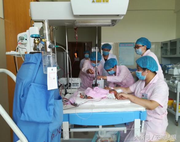 保山首例“新生兒(er) 換血療法”成功實施